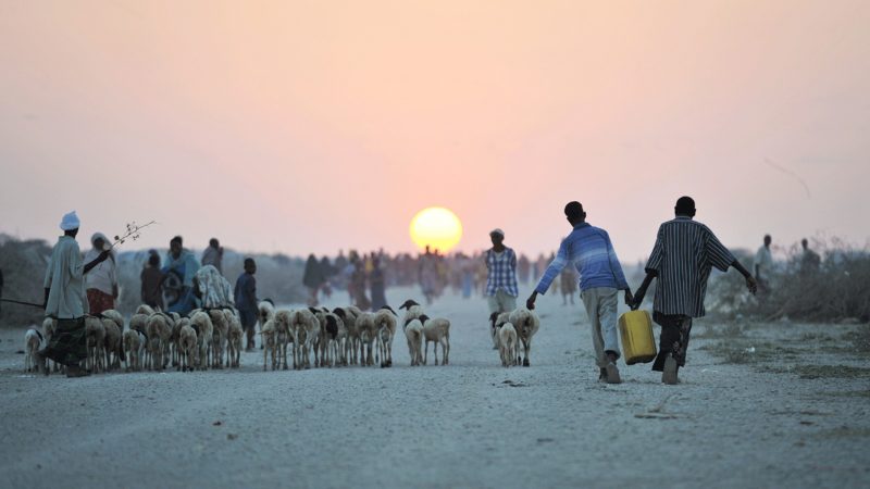 Somalia Sun Progress Portal Somalia Sun Progress Portal